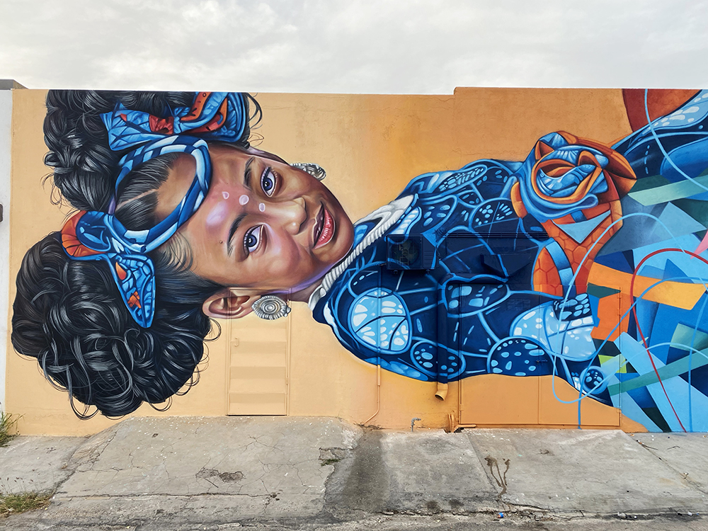 Arubaartfair