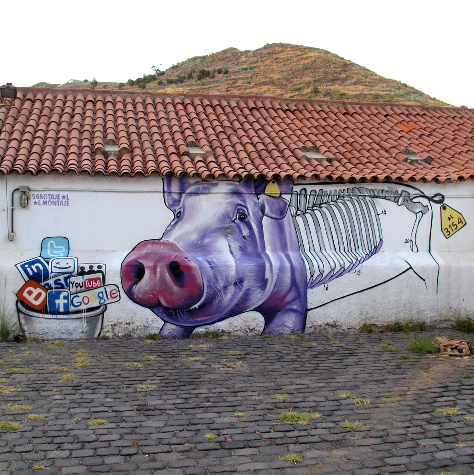 The pig eats everything