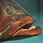 Farmacia arguineguin