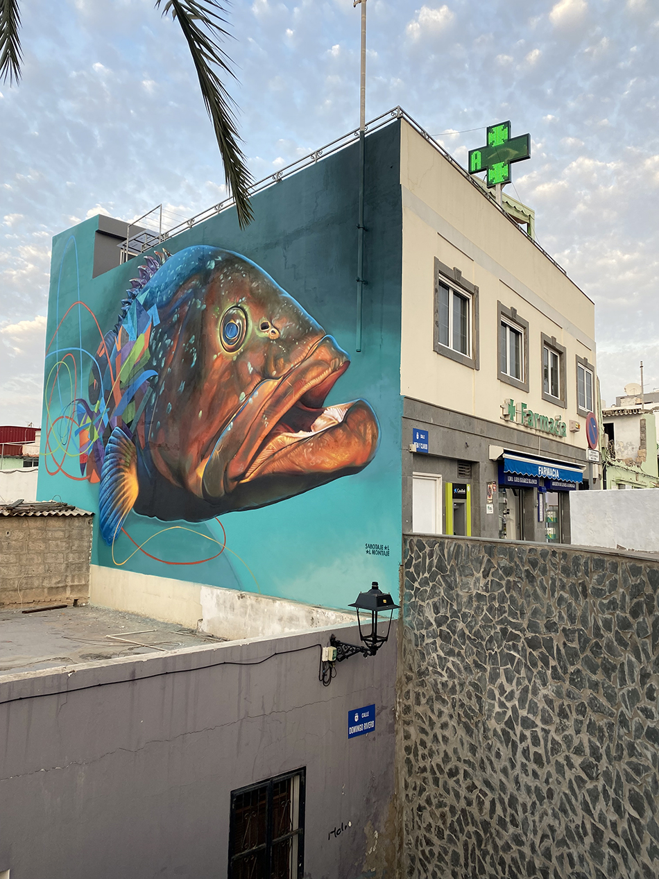 Farmacia arguineguin