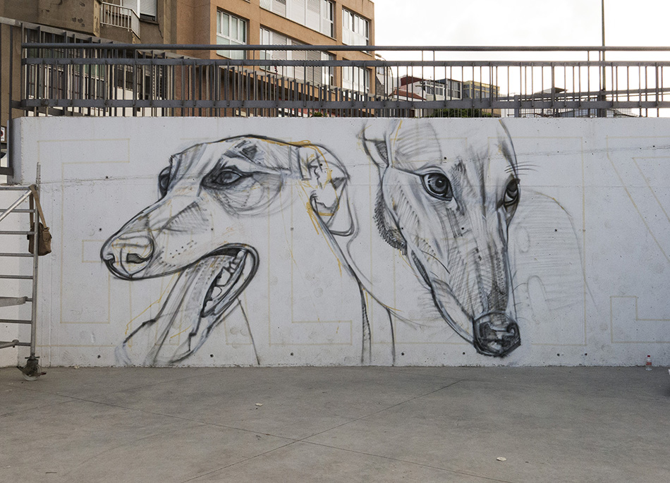 Galgos
