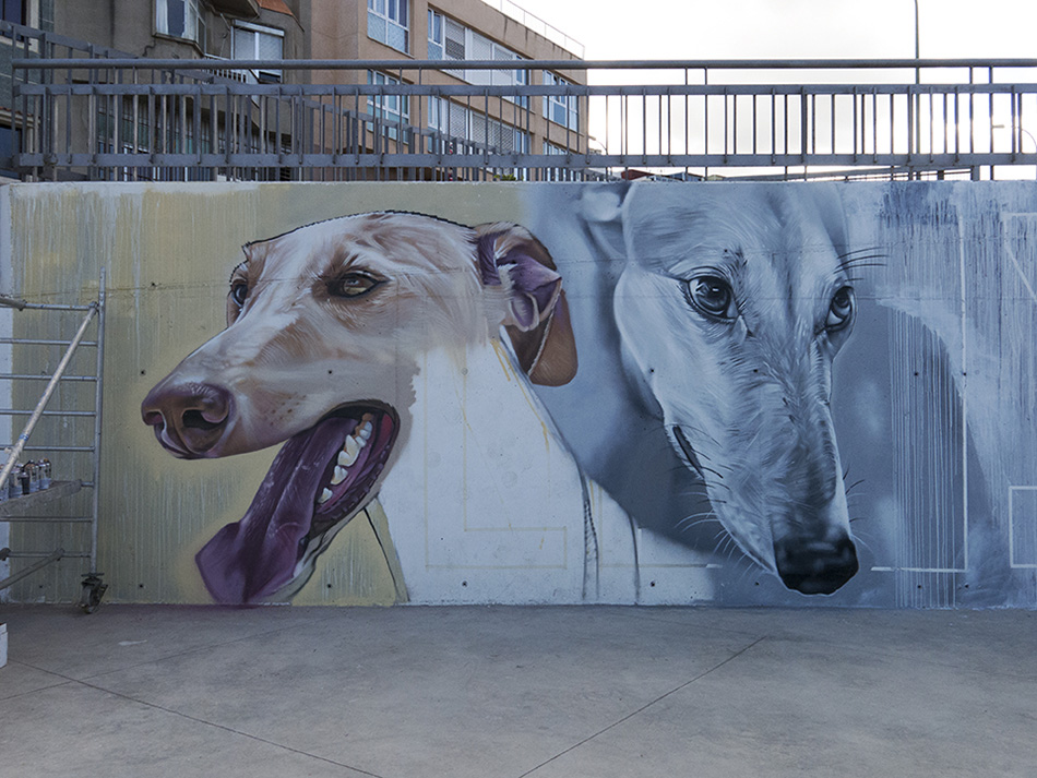 Galgos