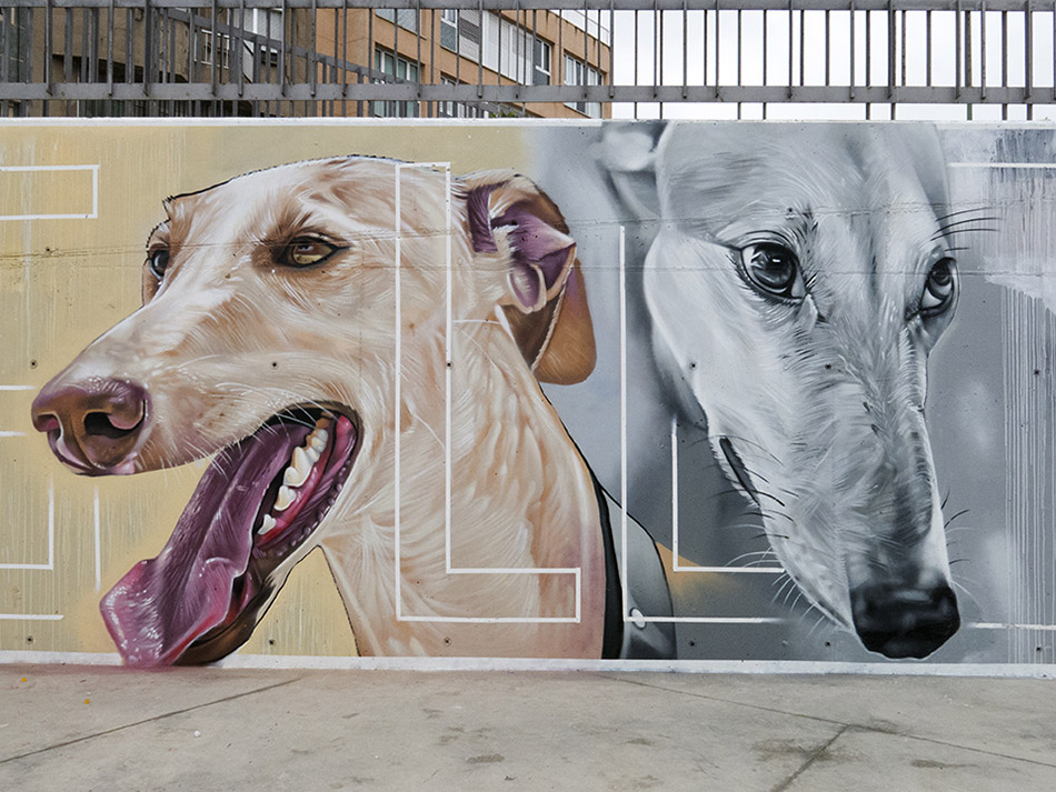 Galgos