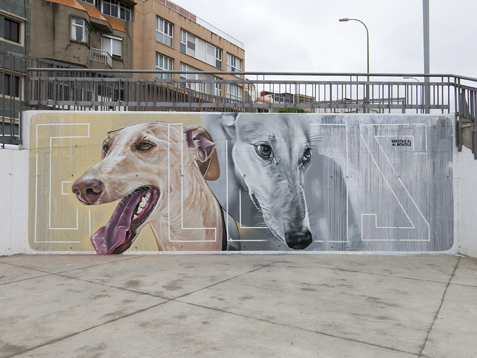 Galgos