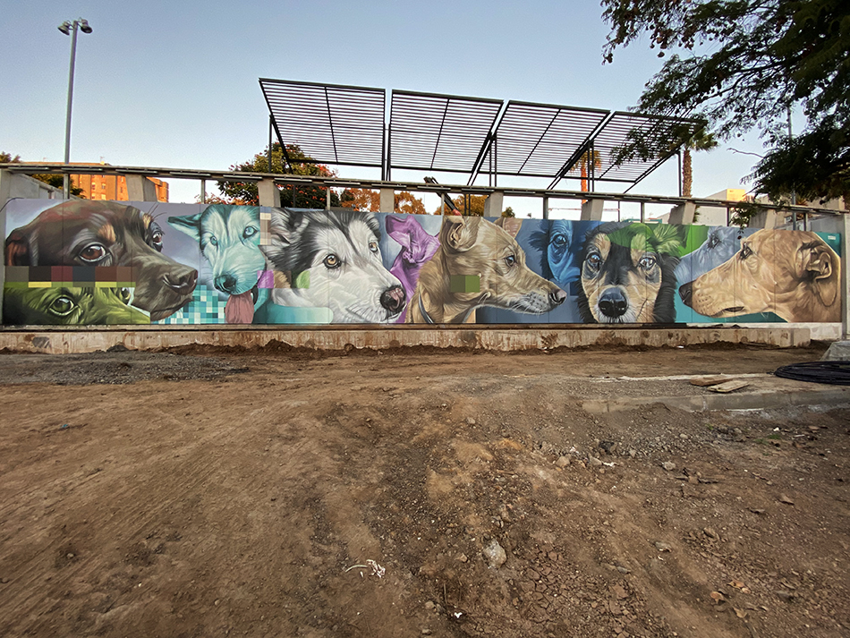 Parque de perros