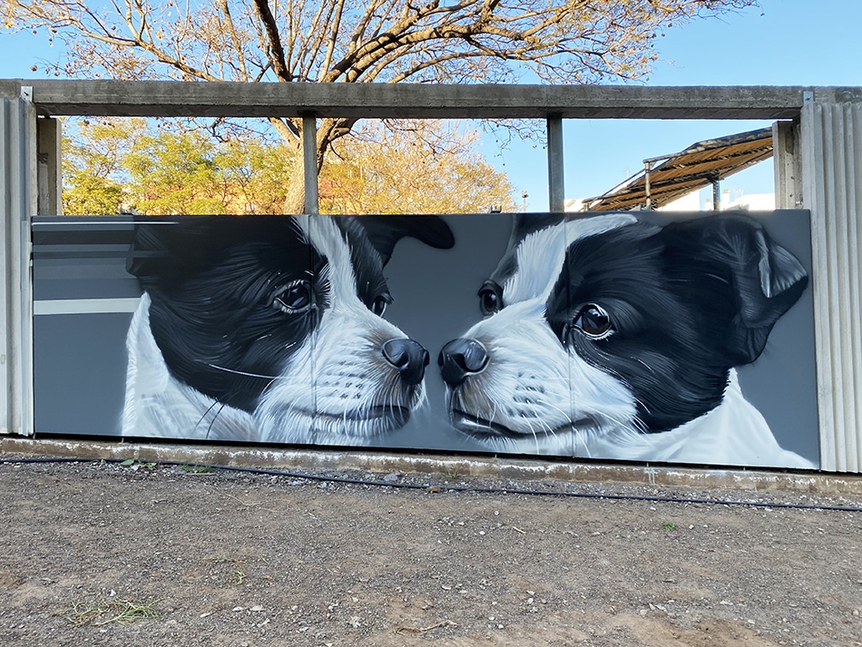 Parque de perros