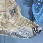 Parque de perros