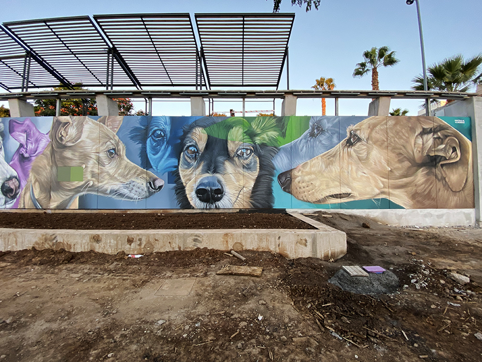 Parque de perros