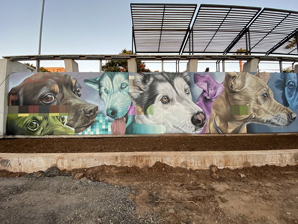 Parque de perros