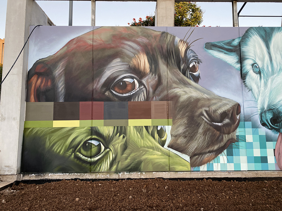 Parque de perros