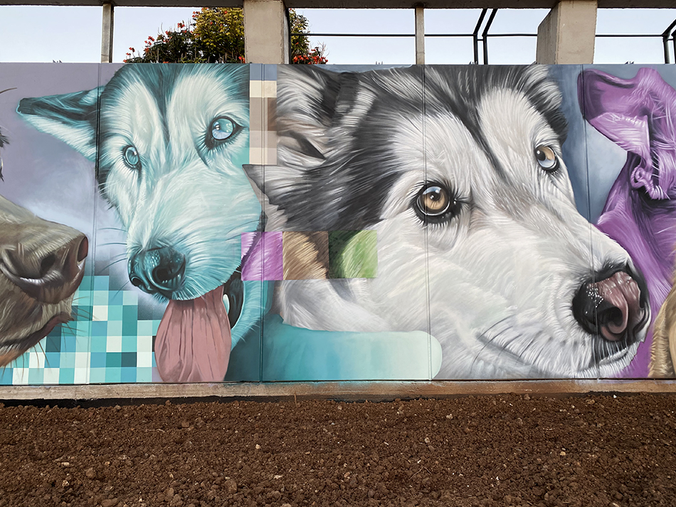 Parque de perros