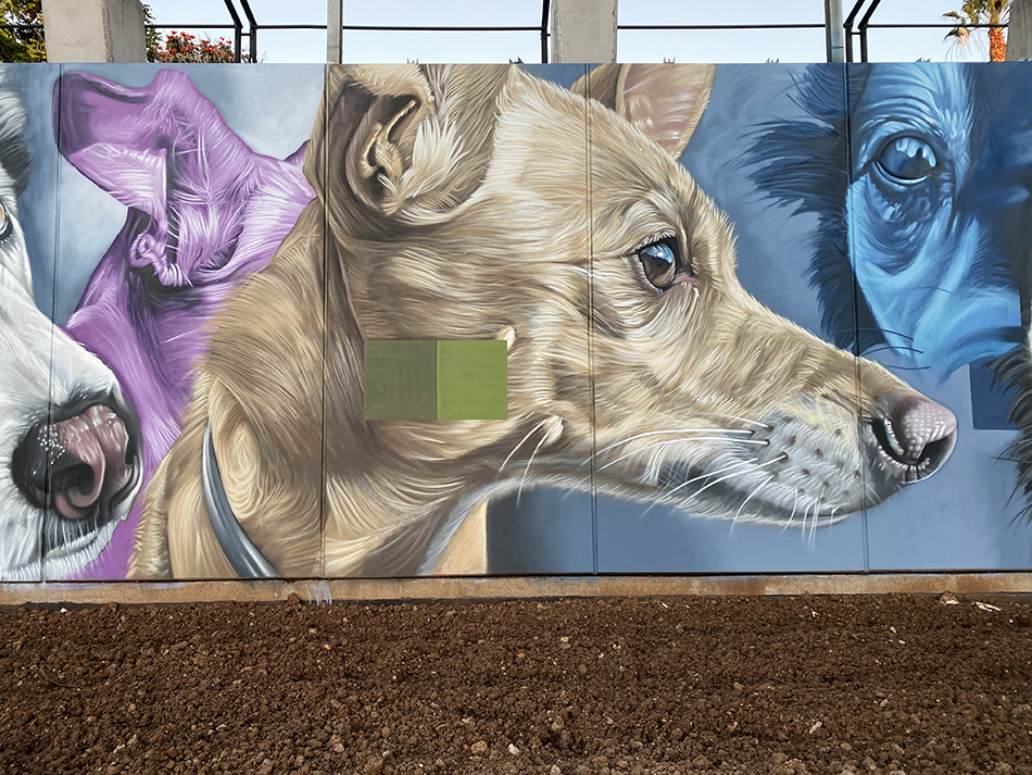 Parque de perros