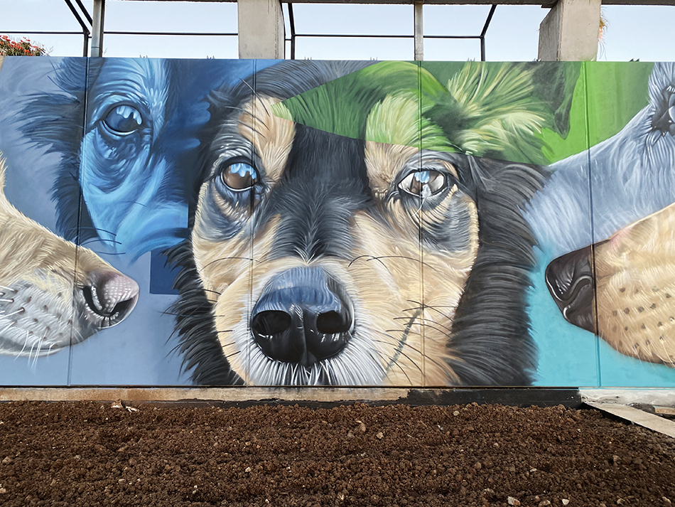 Parque de perros