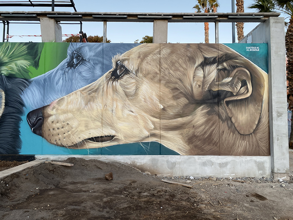 Parque de perros