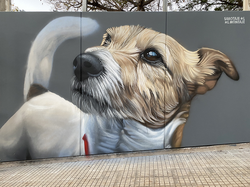 Parque de perros