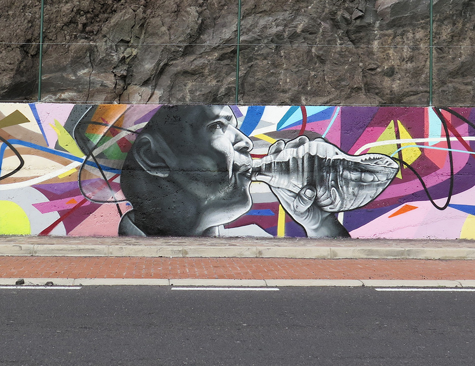 Puerto Santiago Tenerife